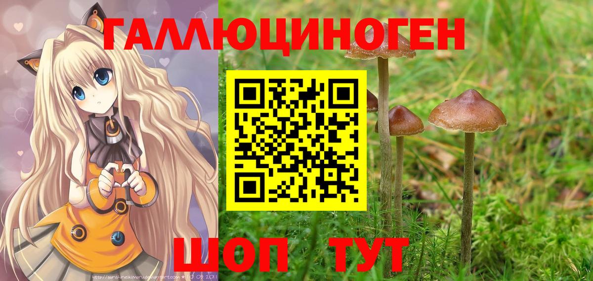 Амурск  Псилоцибиновые грибы прущие грибы  Вход с VPN 
